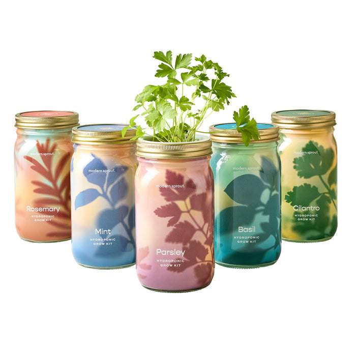 Herb Parsley Garden Jar