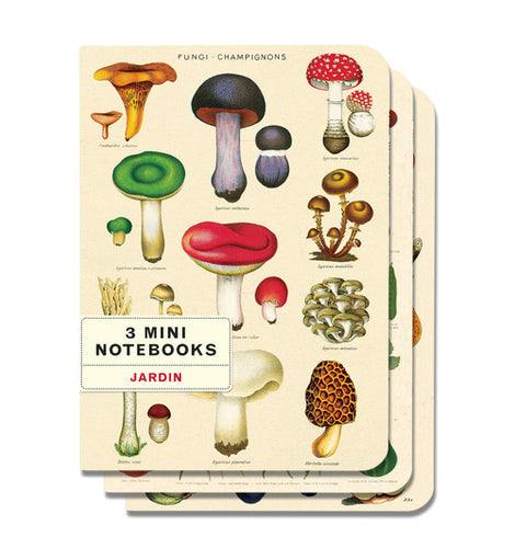 Mini Notebooks (set of 3) - Le Jardin