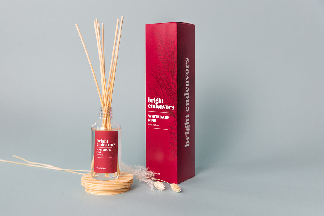 Reed Diffuser -  Whitebark Pine